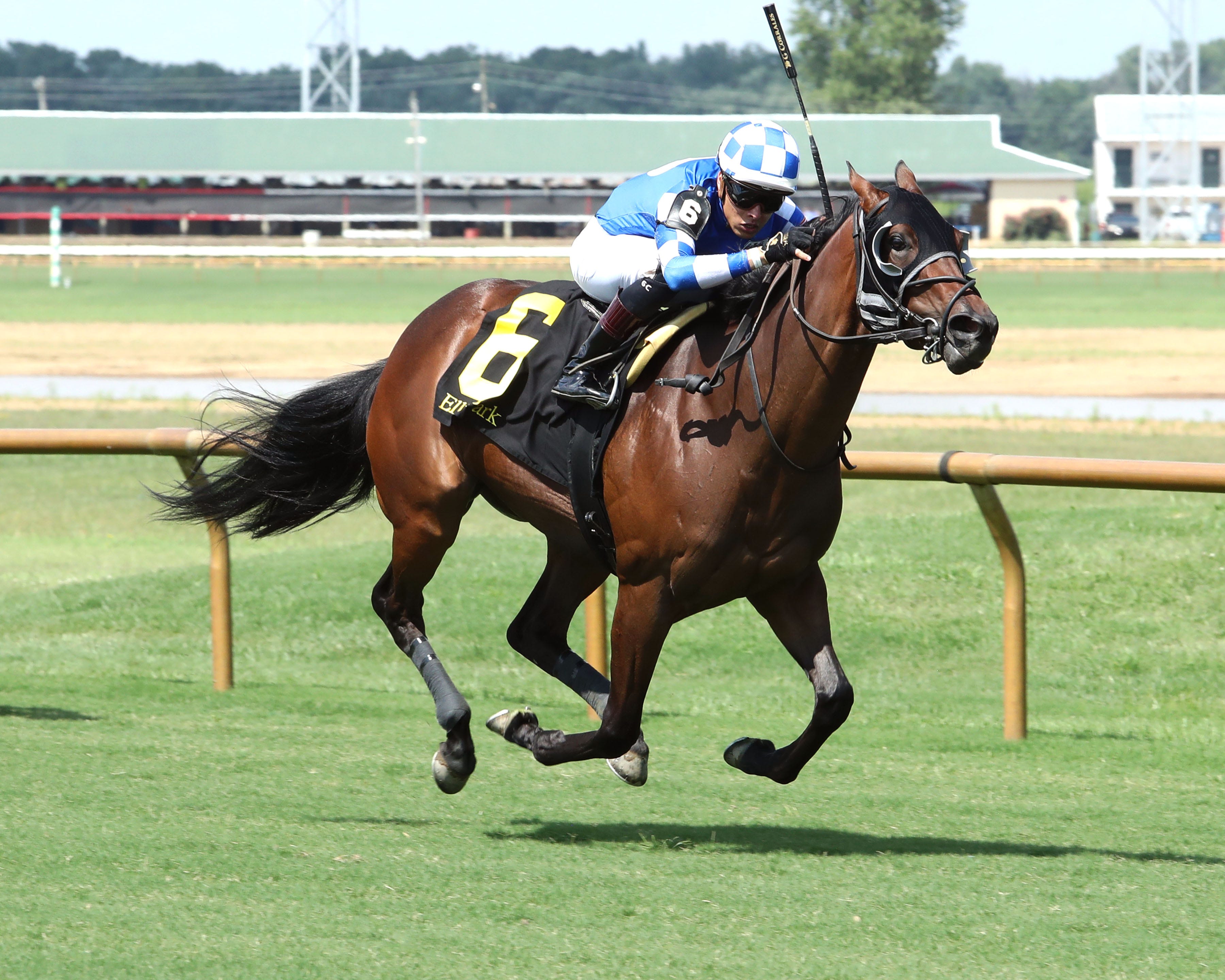 Niki Nine Doors Surges To Victory In Pea Patch Stakes